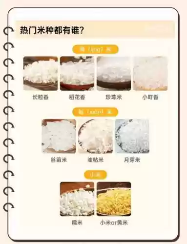 奇袭大米攻略_1插图