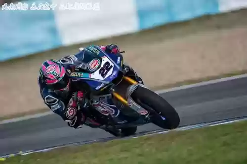 雅马哈阵容2019插图1