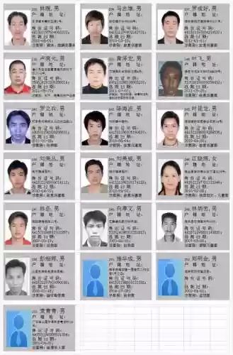 平民通缉阵容插图1