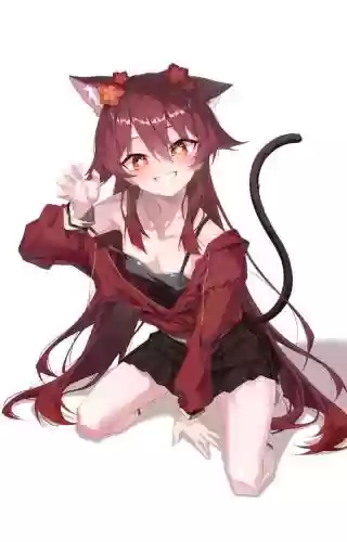 胡桃猫阵容插图