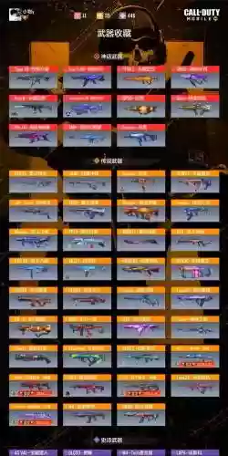 cod最新武器插图