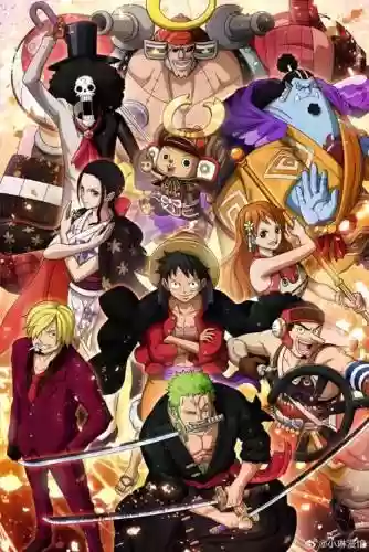 罗宾路飞阵容插图1