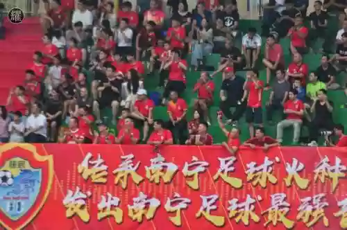 南宁者阵容插图1