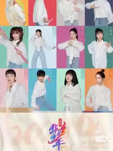 华彩少年阵容插图1