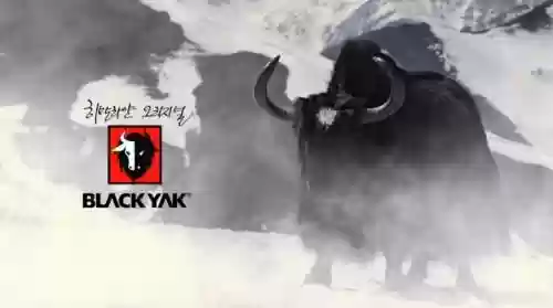 黑black26关攻略_1插图1