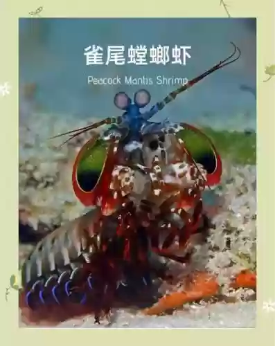 动物武器还是海洋武器插图1