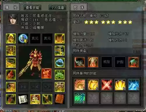 剑侠世界丹心装备插图1