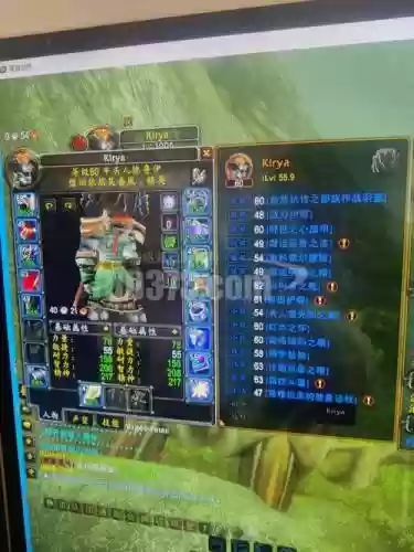60德鲁伊装备插图