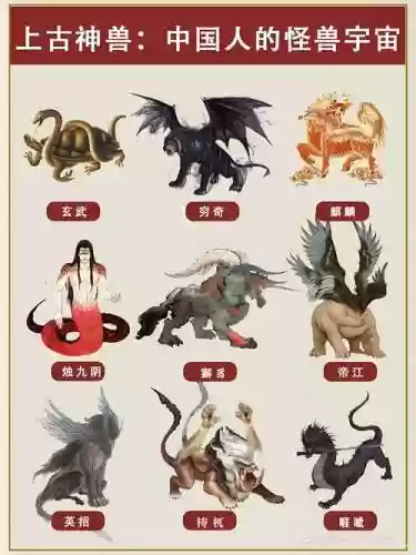 九兽阵容插图