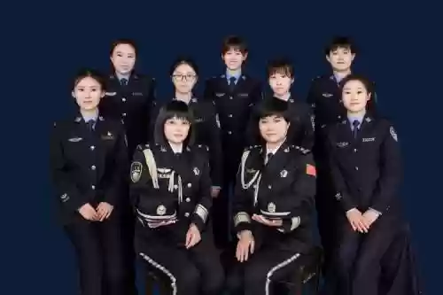 女警执法阵容插图