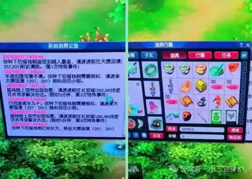 梦幻西游树苗可以摇几次插图1