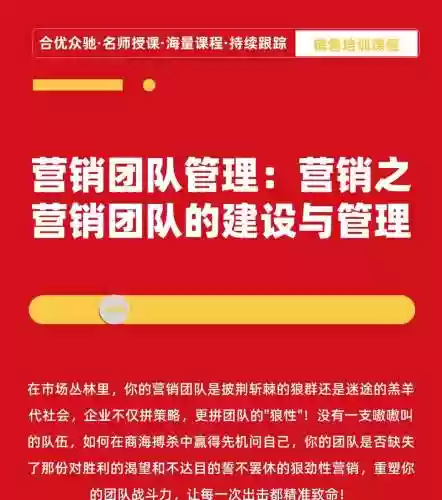 营销号阵容插图