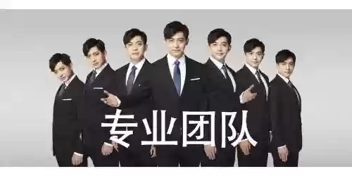 律政先锋阵容插图