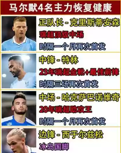 瑞典阵容分析插图1