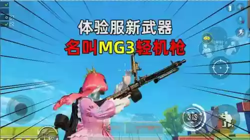 新武器叫什么名字叫什么插图
