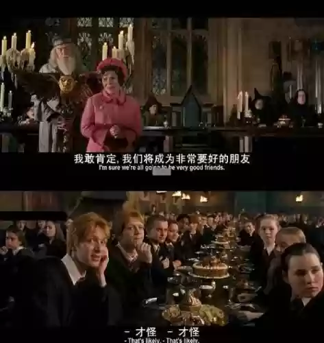 哈利波特不氪金的阵容搭配插图1