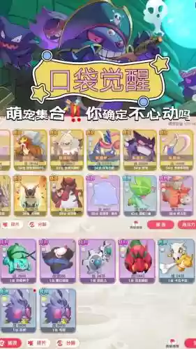 口袋觉醒宝可梦搭配阵容插图