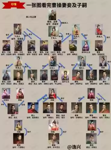 三国人妻妾阵容搭配插图