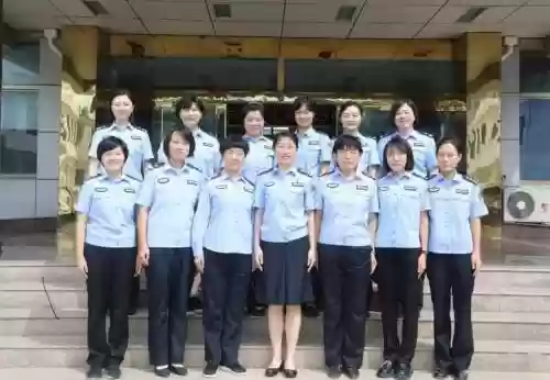 女警执法阵容插图1