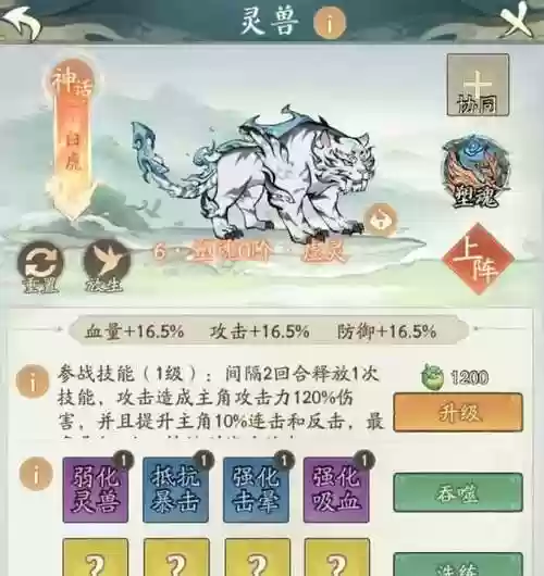 后期白虎阵容搭配插图