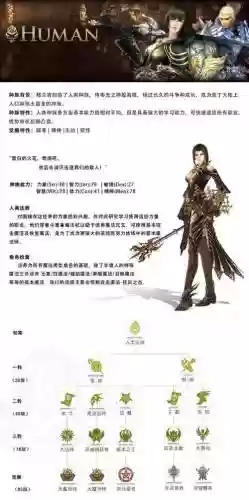 天堂2怀旧职业技能表插图1