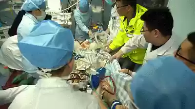 抢救豪华阵容插图1