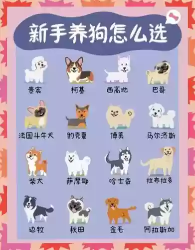 猎犬阵容搭配攻略插图1