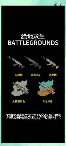 绝地生存大逃杀装备插图1