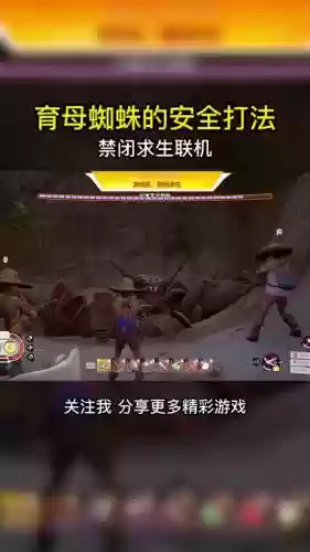 孕母蜘蛛阵容搭配插图