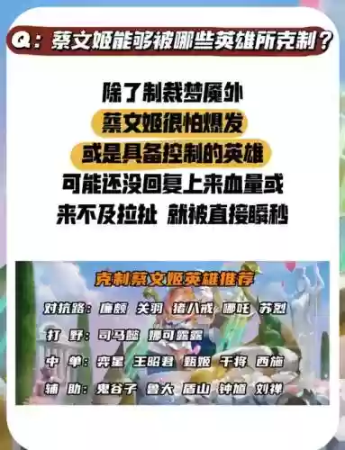 搭配蔡文姬阵容插图1