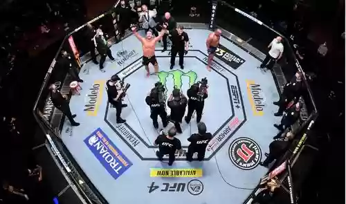 ufc裁判阵容插图
