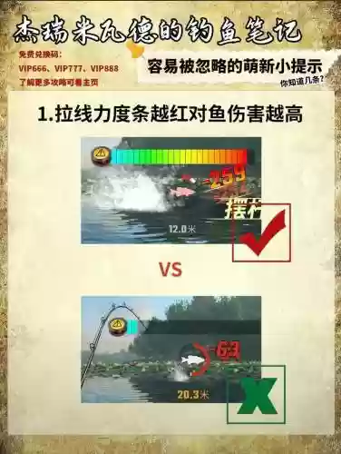钓鱼大师新手攻略插图1