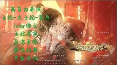 王妃升职记攻略插图