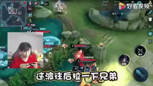 养猪遇阵容插图