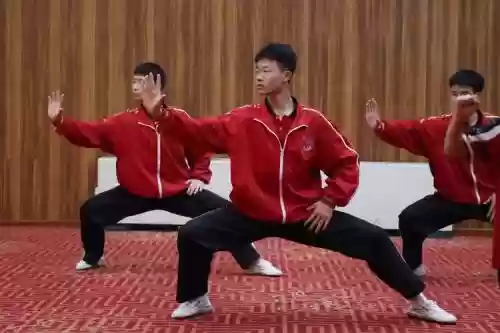 武术阵容图片插图1