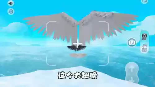 翅膀搭配什么技能好_1插图1