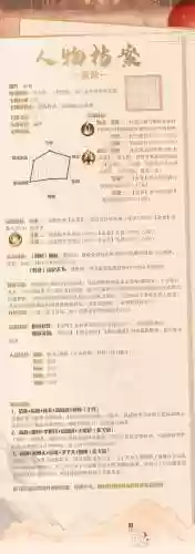 嬴政适合搭配阵容插图