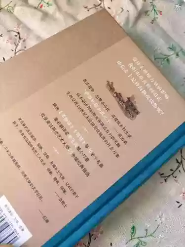 打苏向阳的攻略插图1