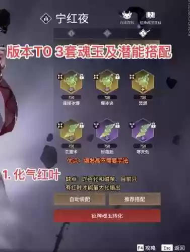 渡劫阵容怎么搭配插图