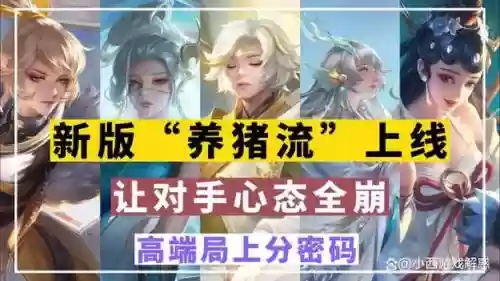 新版养猪阵容搭配插图1