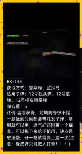迷你dayz武器配件插图1