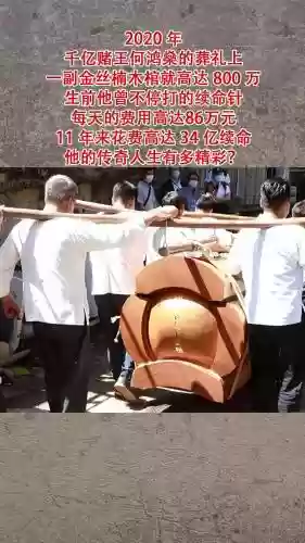 棺材搭配什么阵容插图