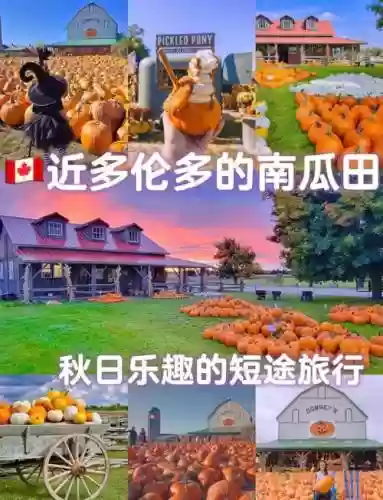 燃烧的南瓜田攻略插图