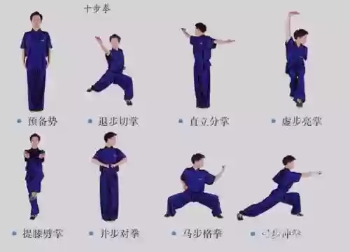 武术阵容搭配教学插图