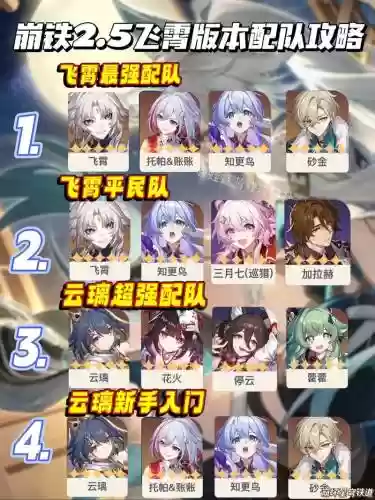 多鸠阵容搭配插图1