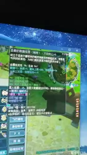 新飞飞弓手武器镶嵌_1插图