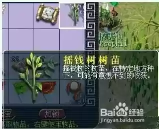 梦幻西游摇钱树给什么_1插图