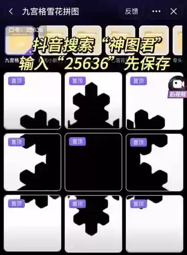 几何雪花阵容搭配，几何雪花为什么这么难抓插图1