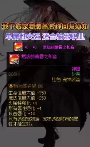 dnf宠物装备怎么得到的，dnf宠物装备在哪弄插图