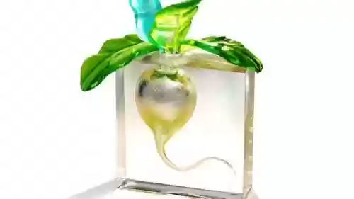 100关水晶萝卜攻略视频，水晶萝卜百度百科插图1